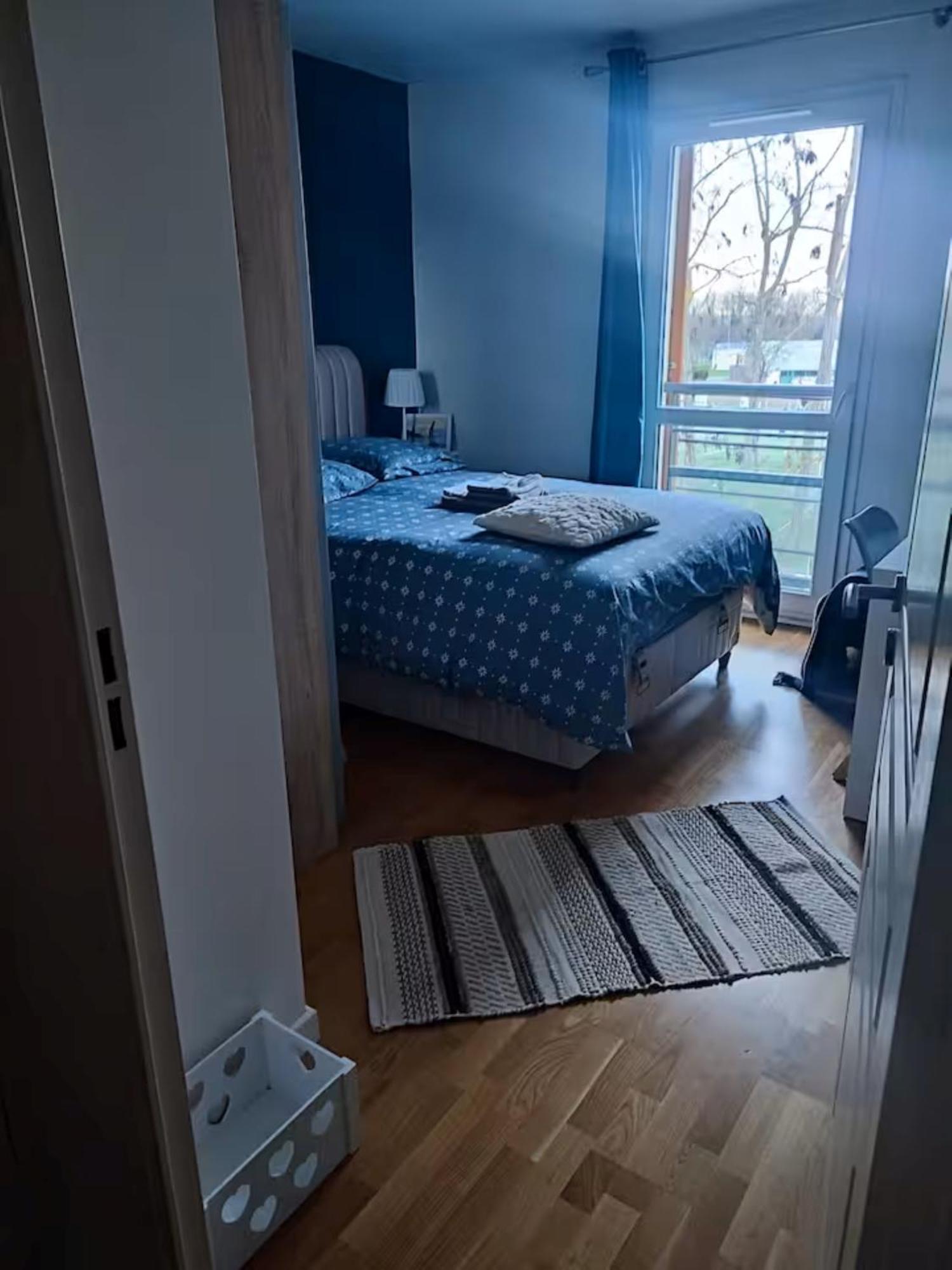A 10 Mins D'Aeroport D'Orly Logement Lumineux Chaleureux Athis-Mons Eksteriør billede
